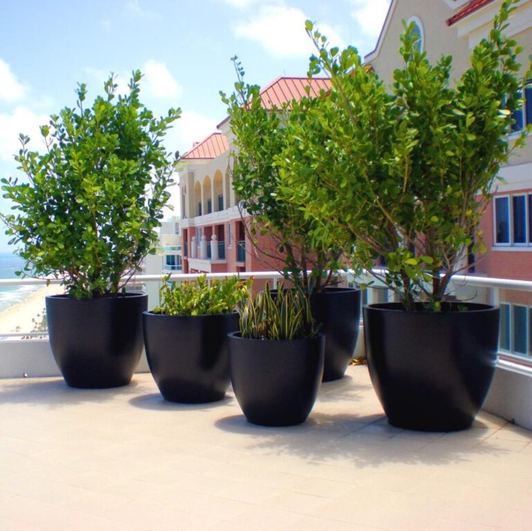 large pots